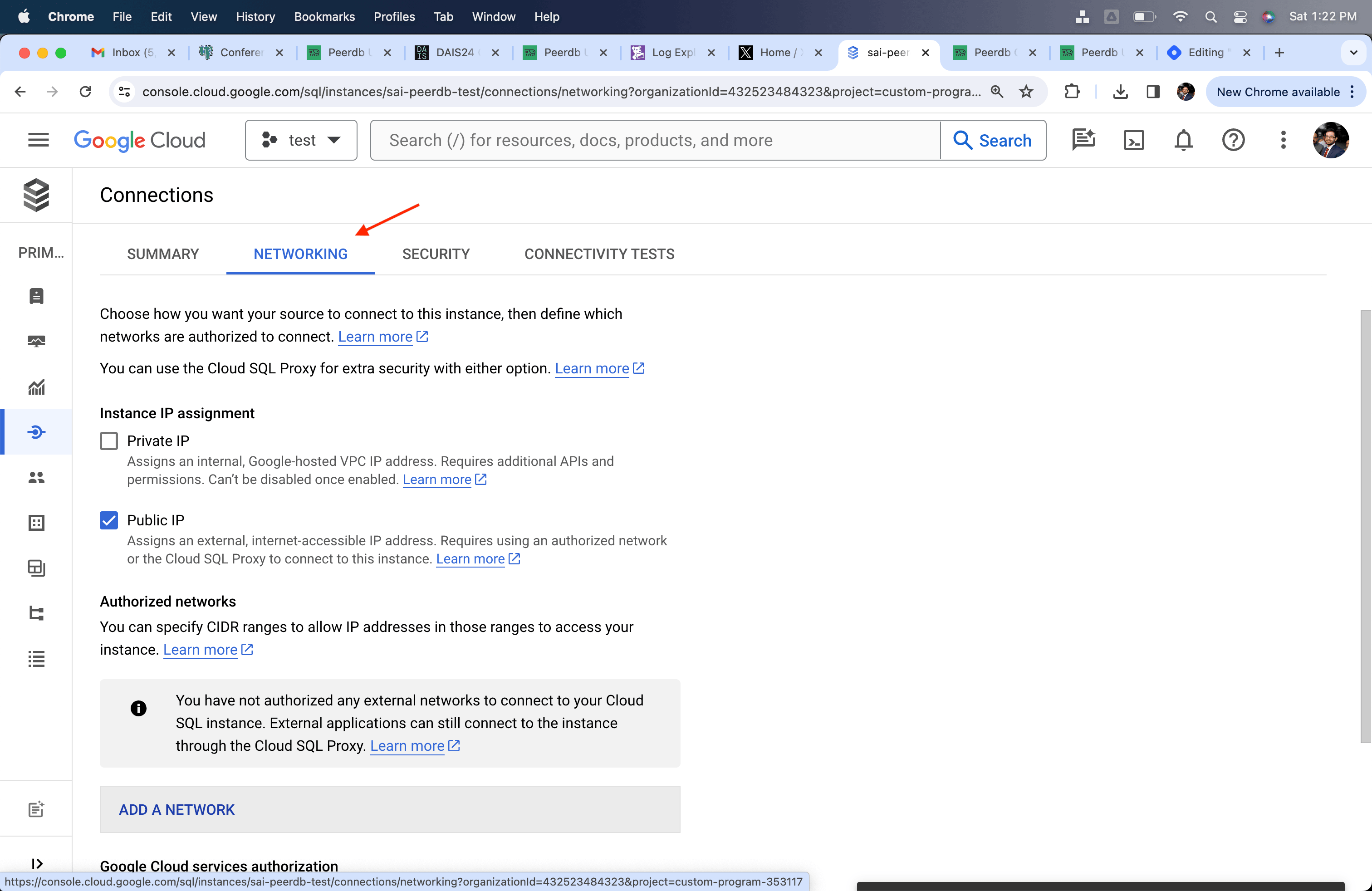 Networking Subsection in Cloud SQL