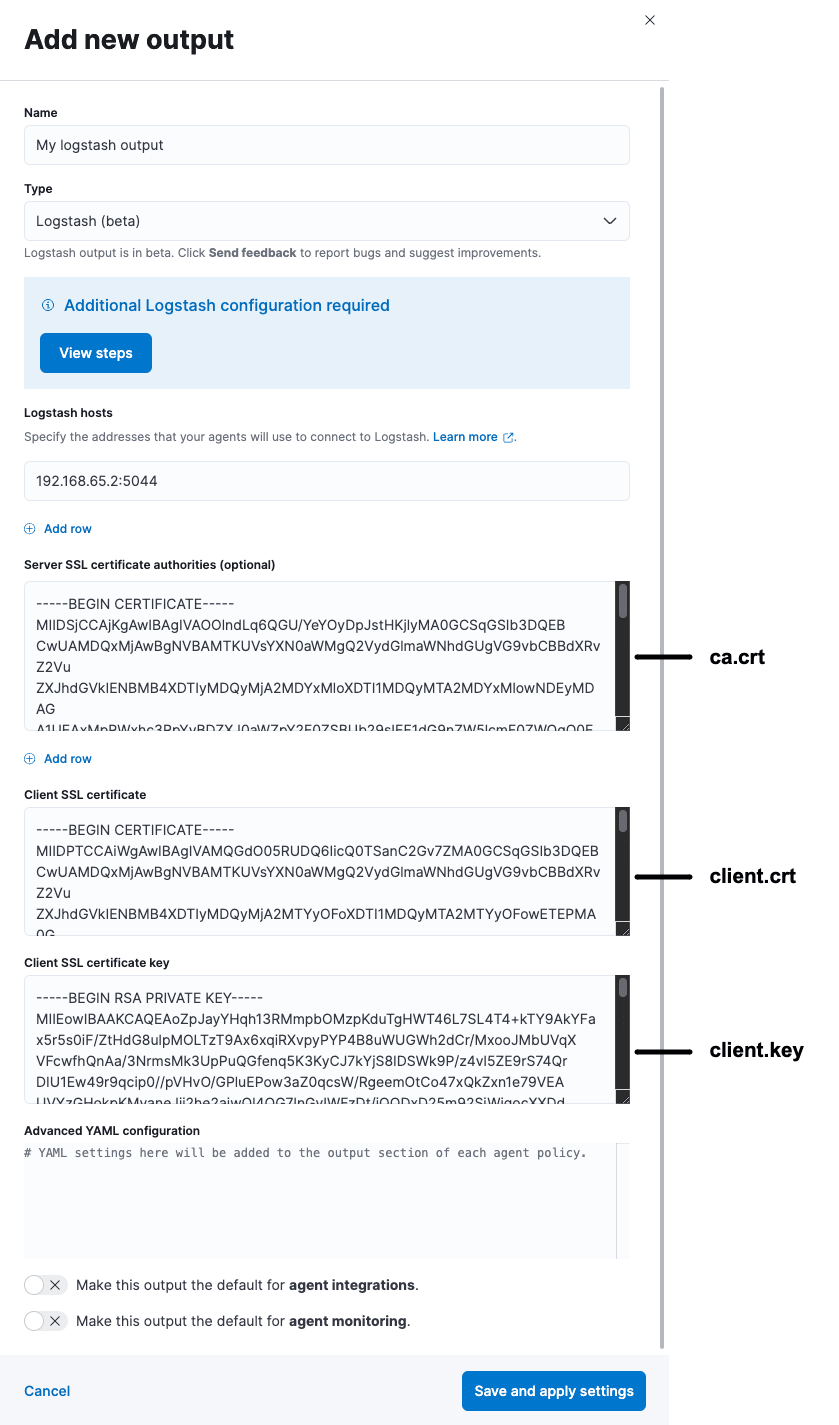 Add Logstash output